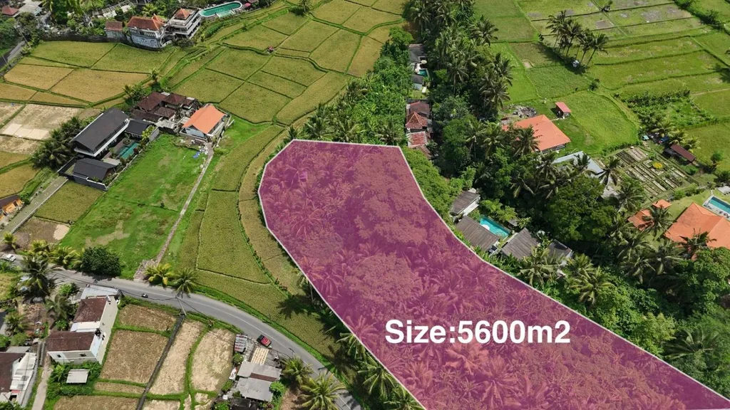 Prime Pink Zone Land on Main Road in Tirta Tawar Ubud — photo 4