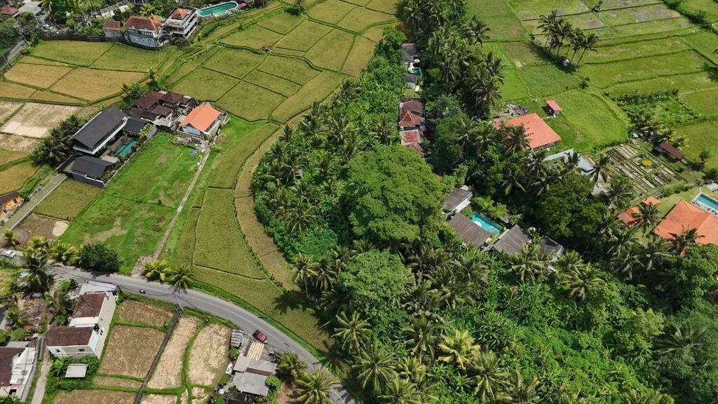 Prime Pink Zone Land on Main Road in Tirta Tawar Ubud — photo 2