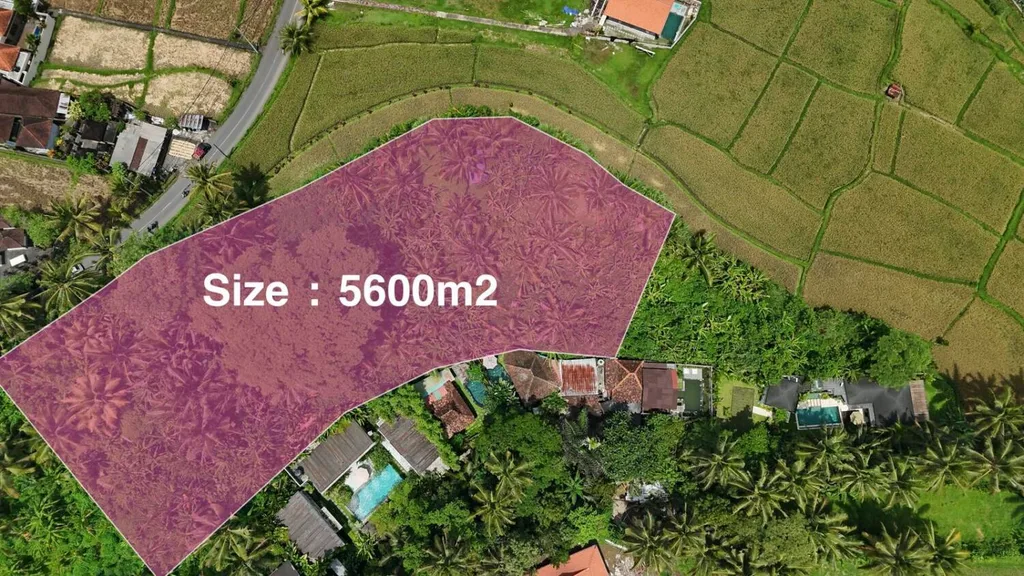 Prime Pink Zone Land on Main Road in Tirta Tawar Ubud — photo 3