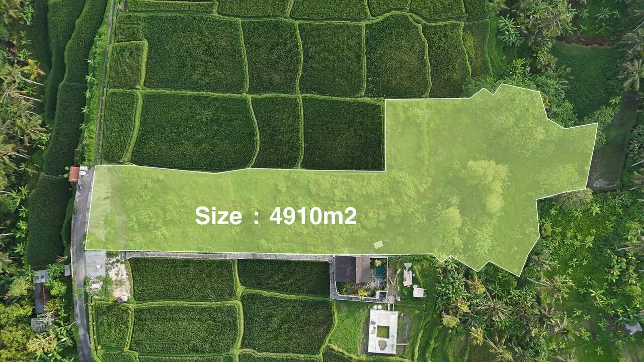 For Sale Yellow Zone 49.1 Are Land in Tegallalang