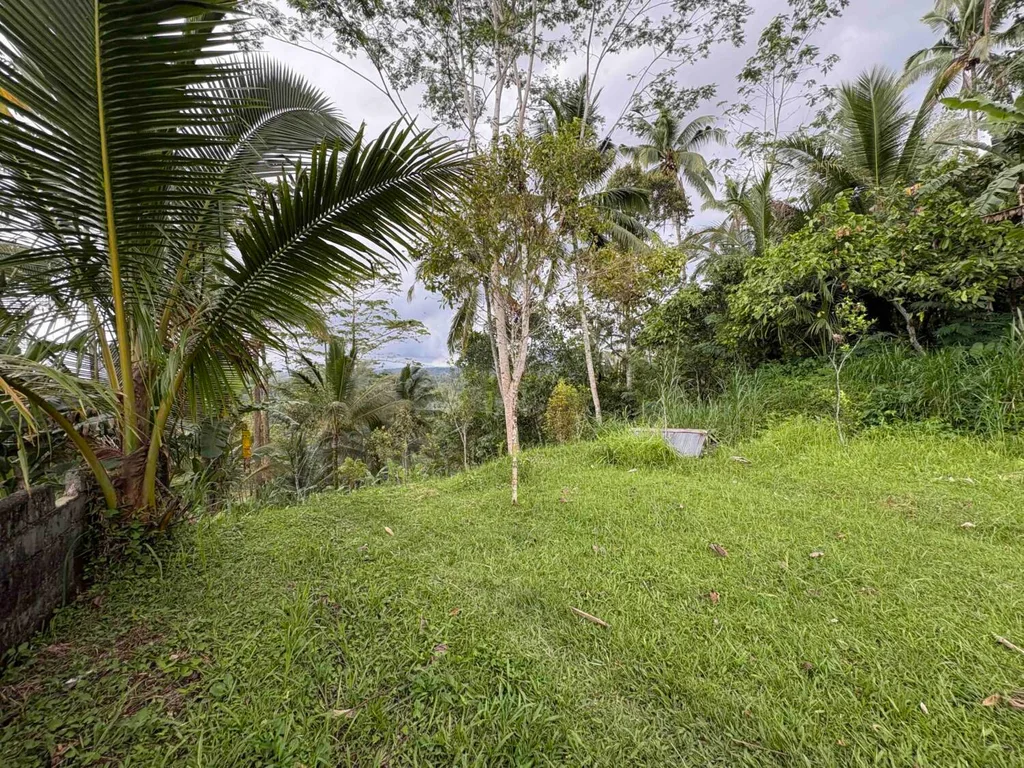 Land with Sunset & Jungle Views in Buahan for Sale — photo 2