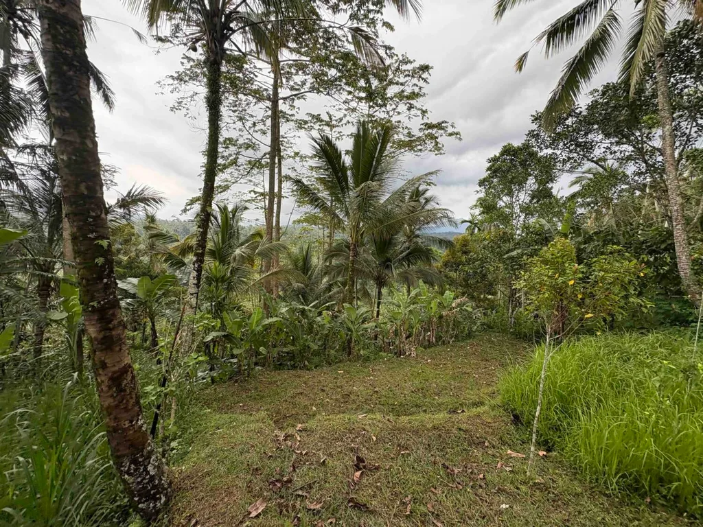 Land with Sunset & Jungle Views in Buahan for Sale — photo 4