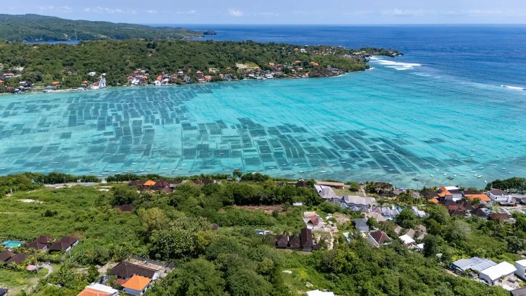 Ocean View Freehold Land in Nusa Lembongan for Sale — photo 4