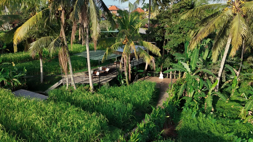 Rice Field Pink Land for Sale in Ubud Center with Existing Villas — photo 5