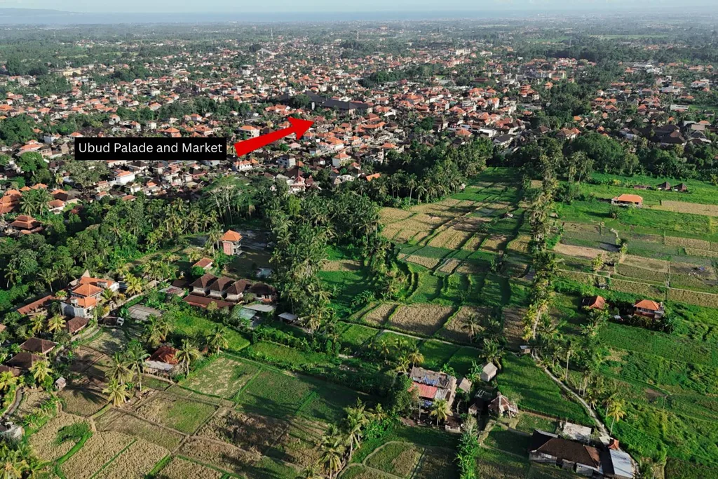 Rice Field Pink Land for Sale in Ubud Center with Existing Villas — photo 4