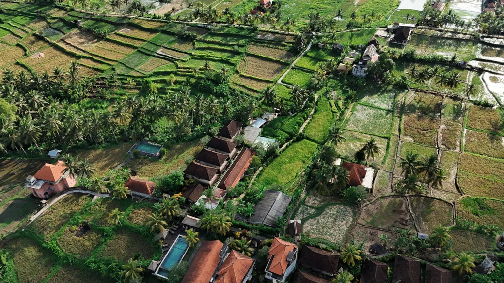 Rice Field Pink Land for Sale in Ubud Center with Existing Villas — photo 2
