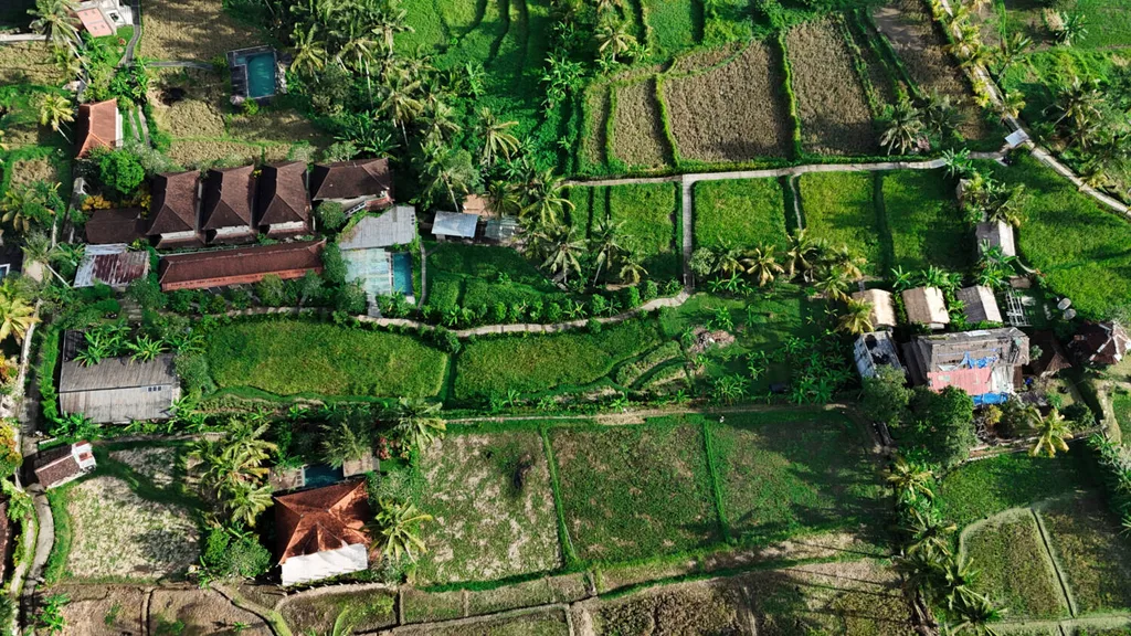 Rice Field Pink Land for Sale in Ubud Center with Existing Villas — photo 3