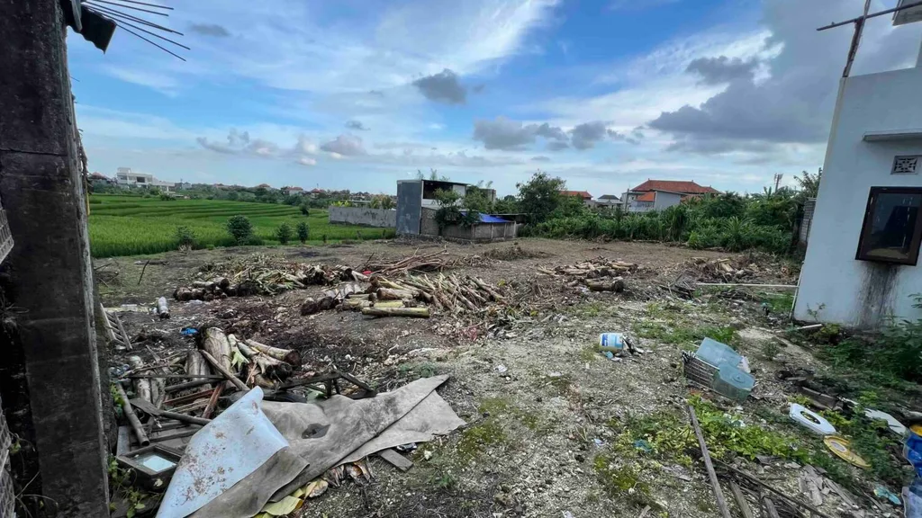 Prime 7 Are Yellow Zone with Rice Field View Land in Buduk — photo 3