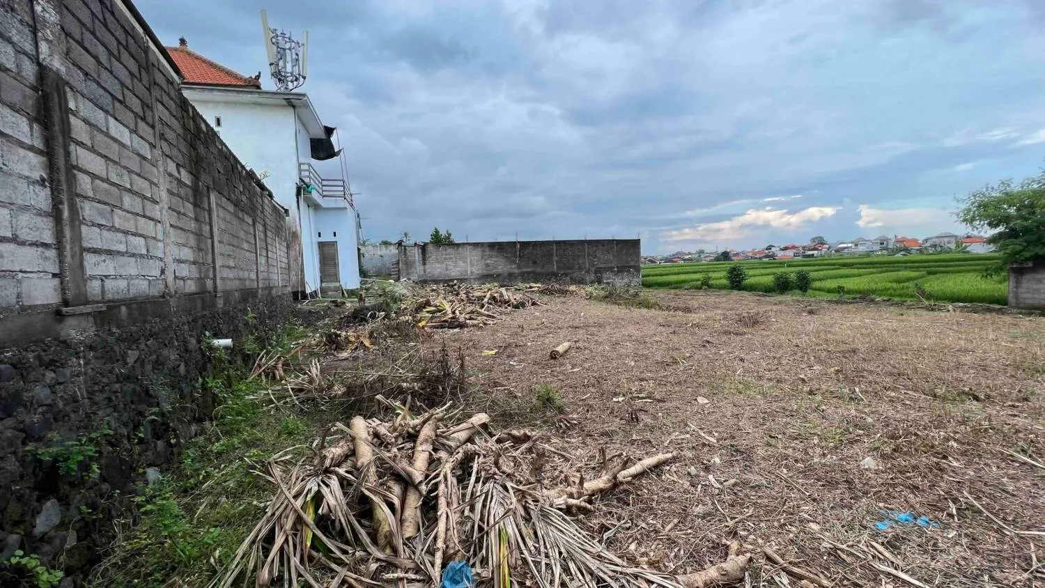 Prime 7 Are Yellow Zone with Rice Field View Land in Buduk