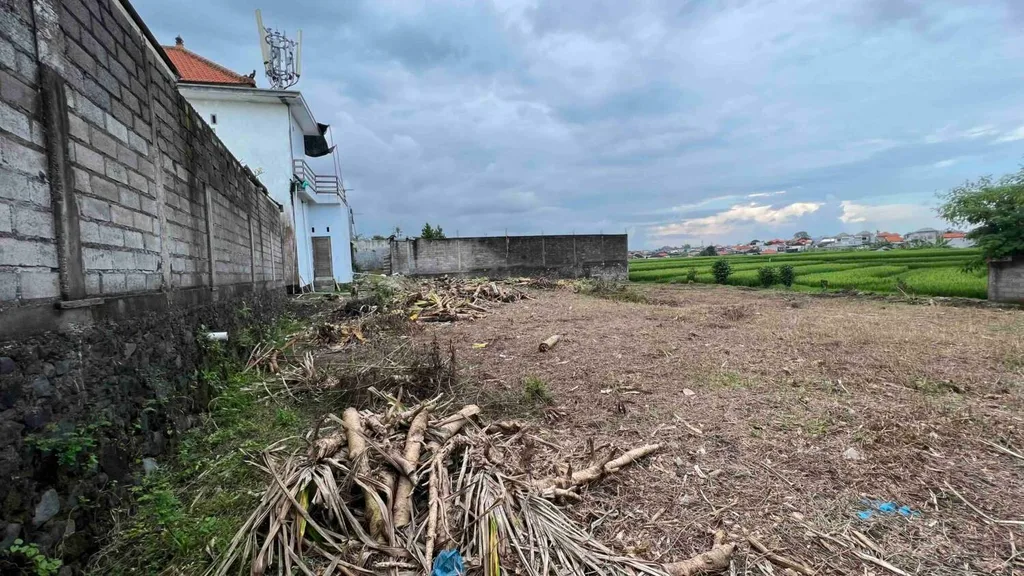 Prime 7 Are Yellow Zone with Rice Field View Land in Buduk