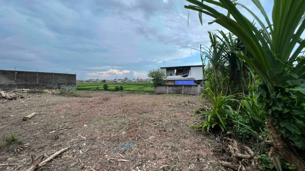 Prime 7 Are Yellow Zone with Rice Field View Land in Buduk — photo 2