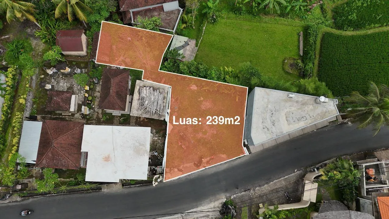Rare 2,3 Are Red Zone Land for Sale in Ubud