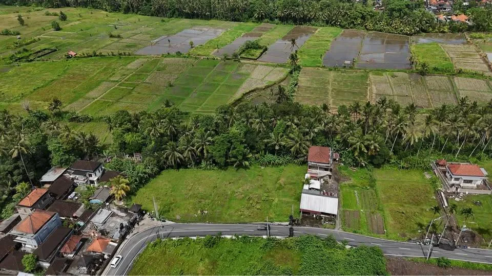 10 Are Red Zone Land in Petulu with River & Ricefield View — photo 3