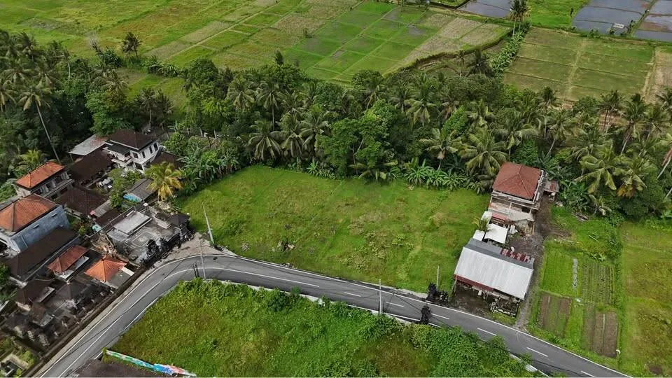 10 Are Red Zone Land in Petulu with River & Ricefield View — photo 2