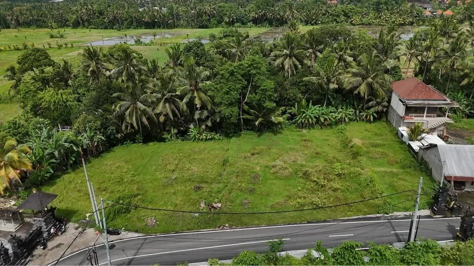 10 Are Red Zone Land in Petulu with River & Ricefield View — photo 4