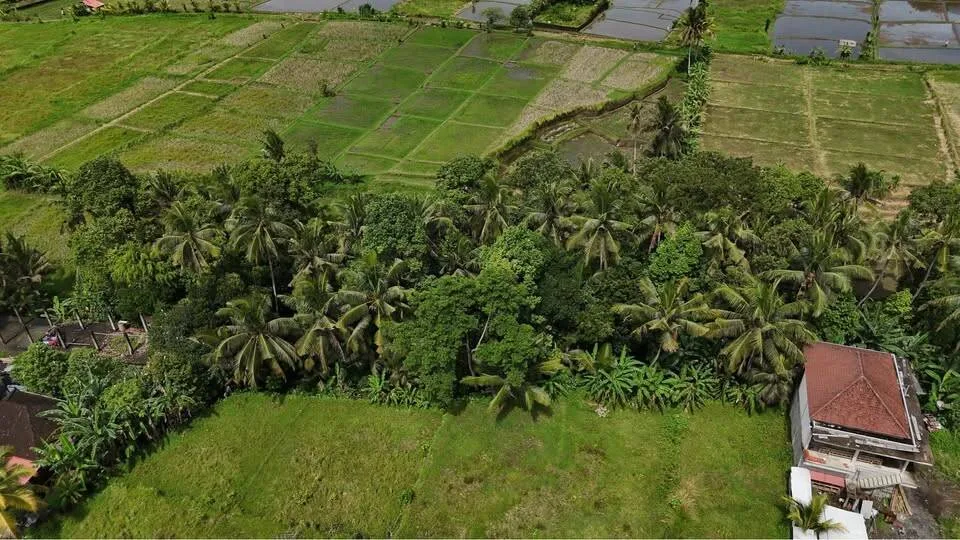10 Are Red Zone Land in Petulu with River & Ricefield View — photo 5