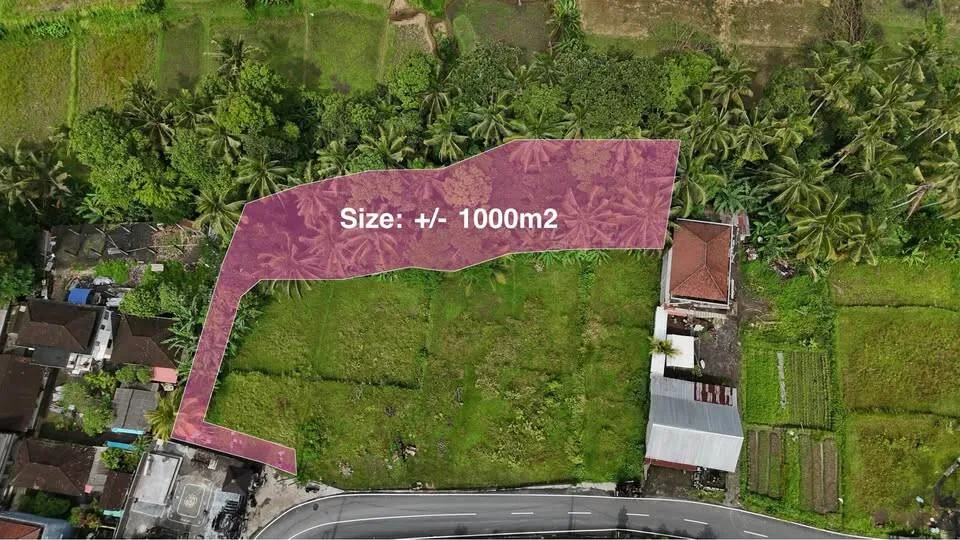 10 Are Red Zone Land in Petulu with River & Ricefield View