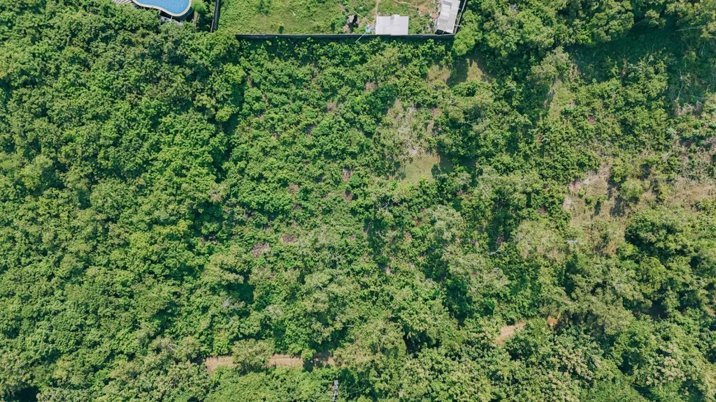 Leasehold 3200 sqm contoured land near GWK — photo 2