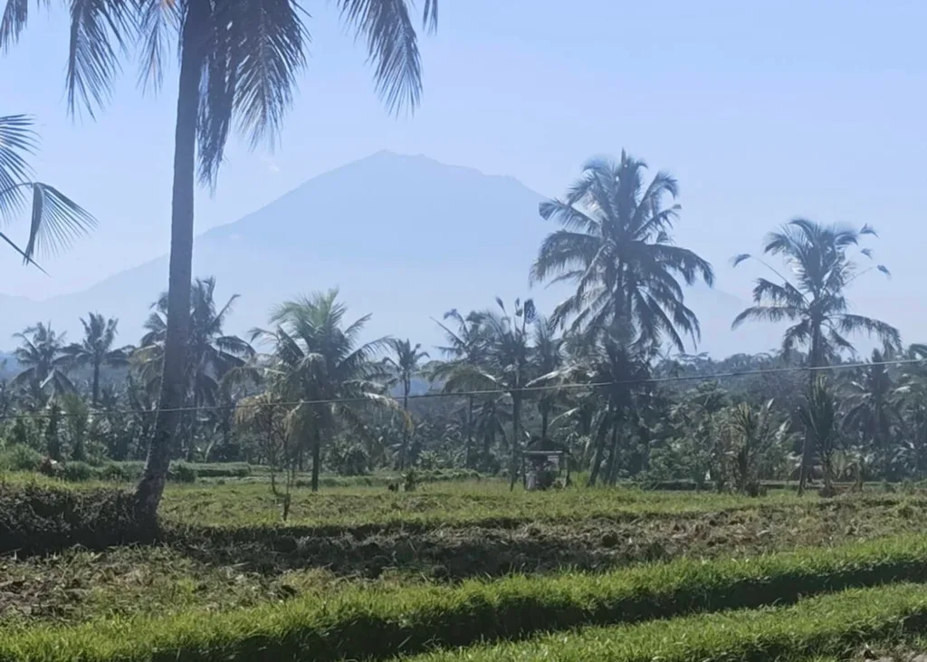 18 ARE Red Zone Land Ubud with Mountain and Rice Field Views — photo 4