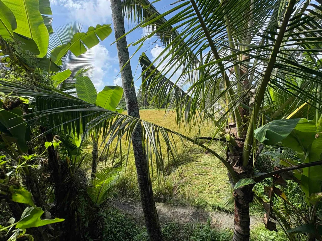 18 ARE Red Zone Land Ubud with Mountain and Rice Field Views — photo 5