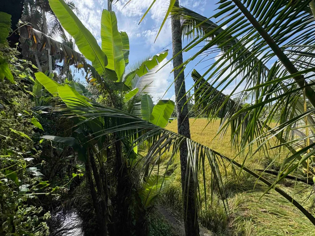 18 ARE Red Zone Land Ubud with Mountain and Rice Field Views — photo 2