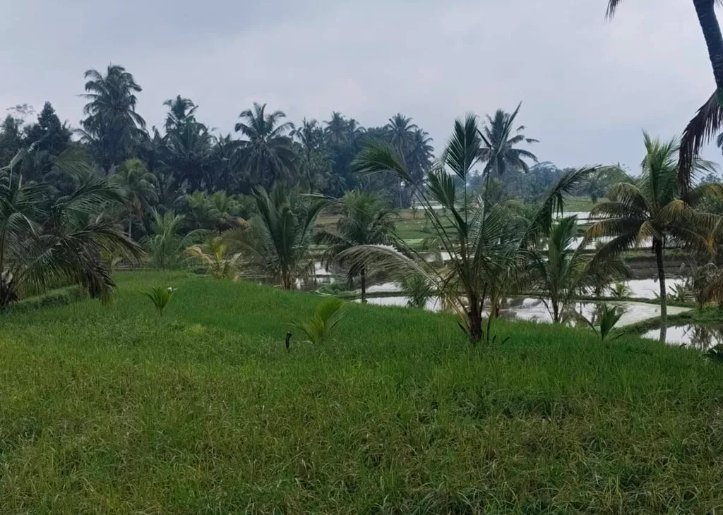 18 ARE Red Zone Land Ubud with Mountain and Rice Field Views — photo 3