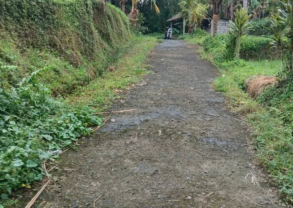 14 ARE Jungle and Rice Field Views Land in Tegalalang — photo 5