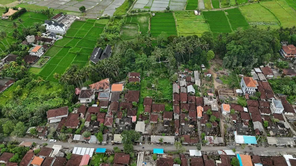Jungle and Rice Field View Land in Petulu Ubud — photo 3