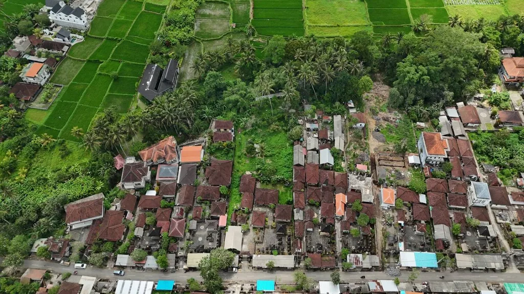 Jungle and Rice Field View Land in Petulu Ubud — photo 4