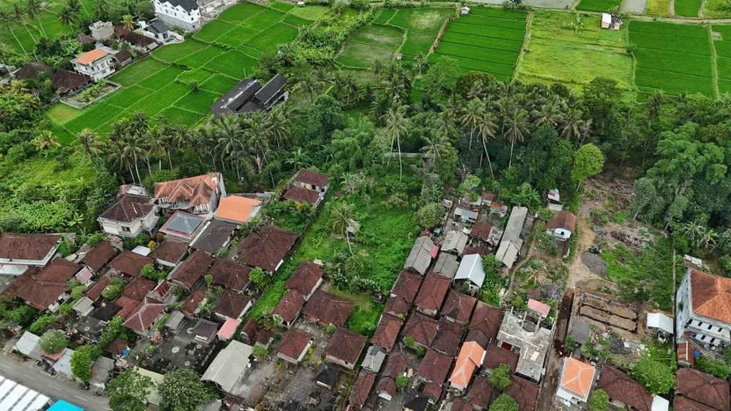 Jungle and Rice Field View Land in Petulu Ubud — photo 2