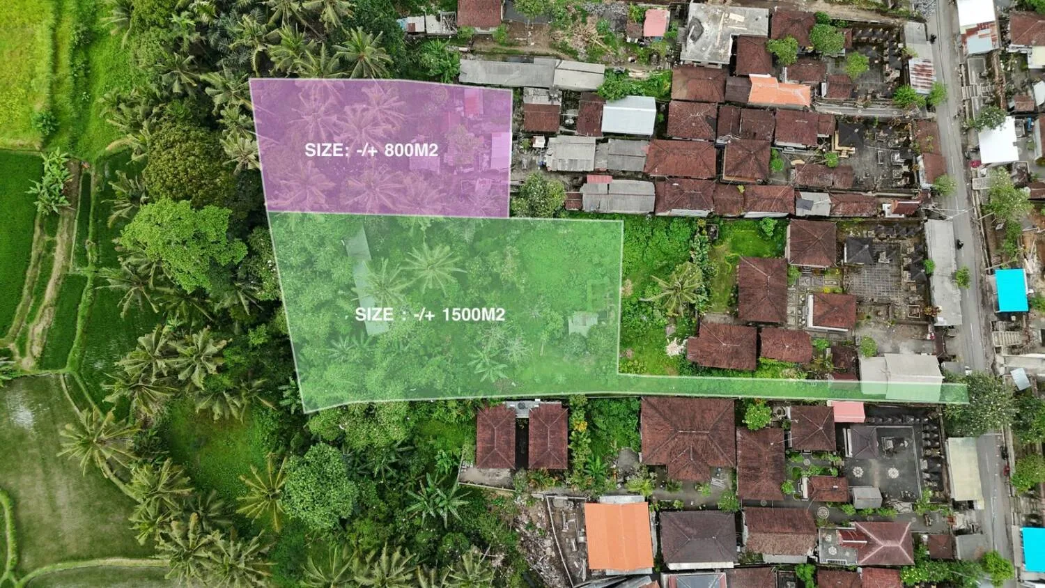 Jungle and Rice Field View Land in Petulu Ubud