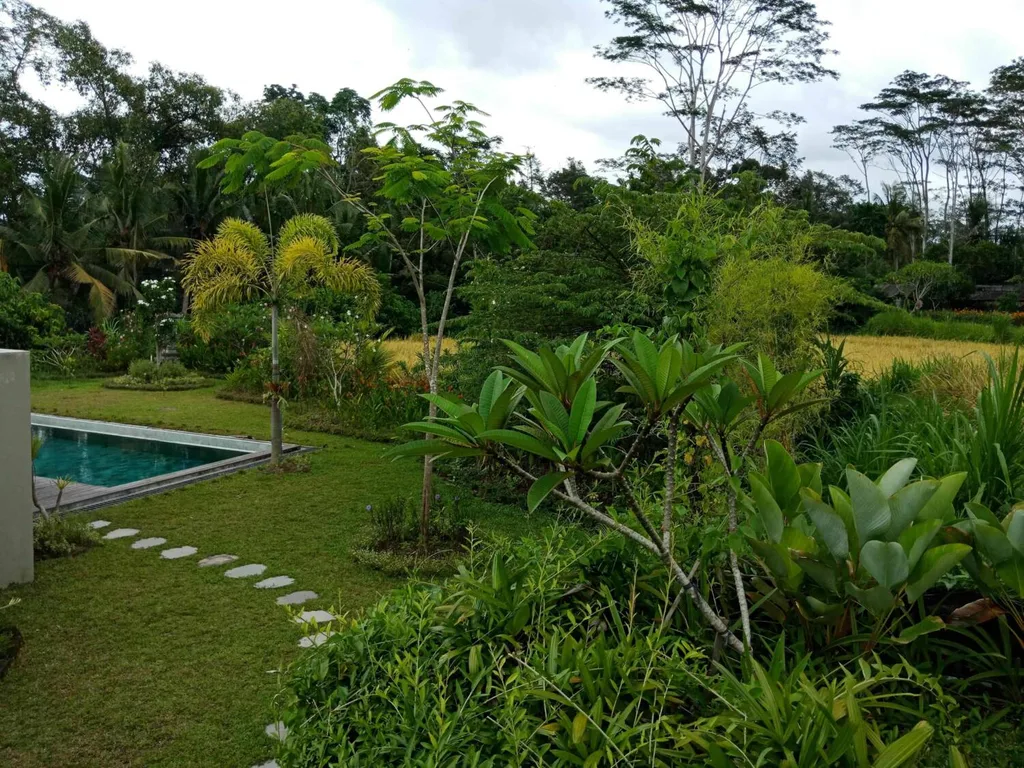 Exceptional 3 Bedroom Riverside Villa in Ubud — photo 5