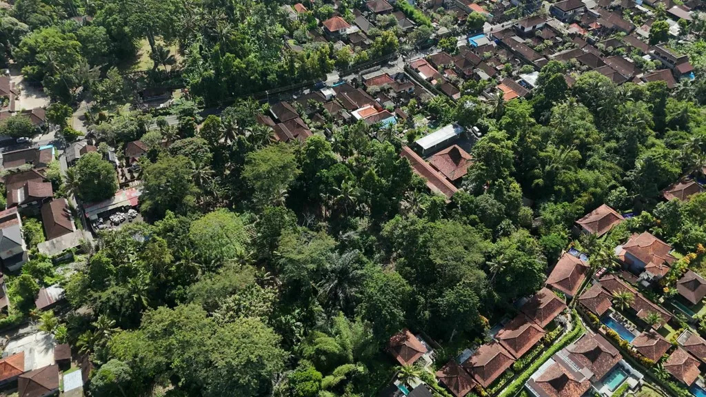 Prime 10 Are Pink Zone Land in Sayan Ubud — photo 4