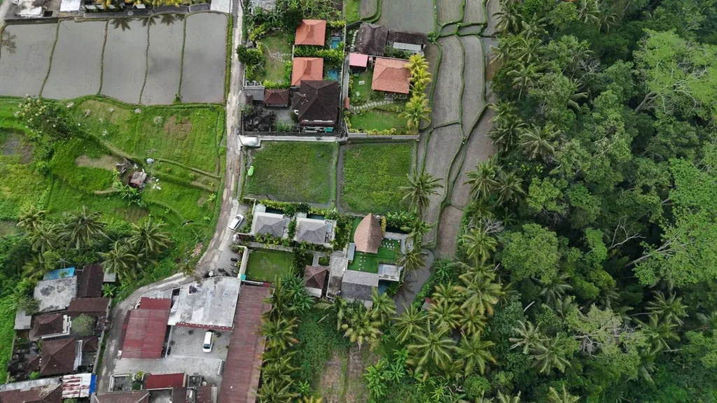 894 SQM Yellow Zone Land in Tegalalang with Rice Field and Jungle View — photo 4