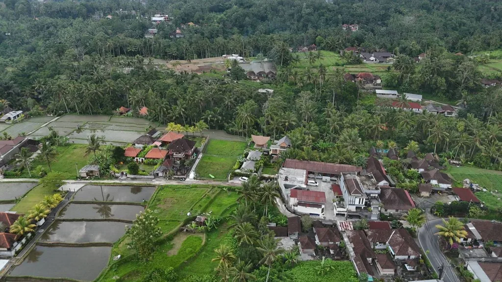 894 SQM Yellow Zone Land in Tegalalang with Rice Field and Jungle View — photo 5