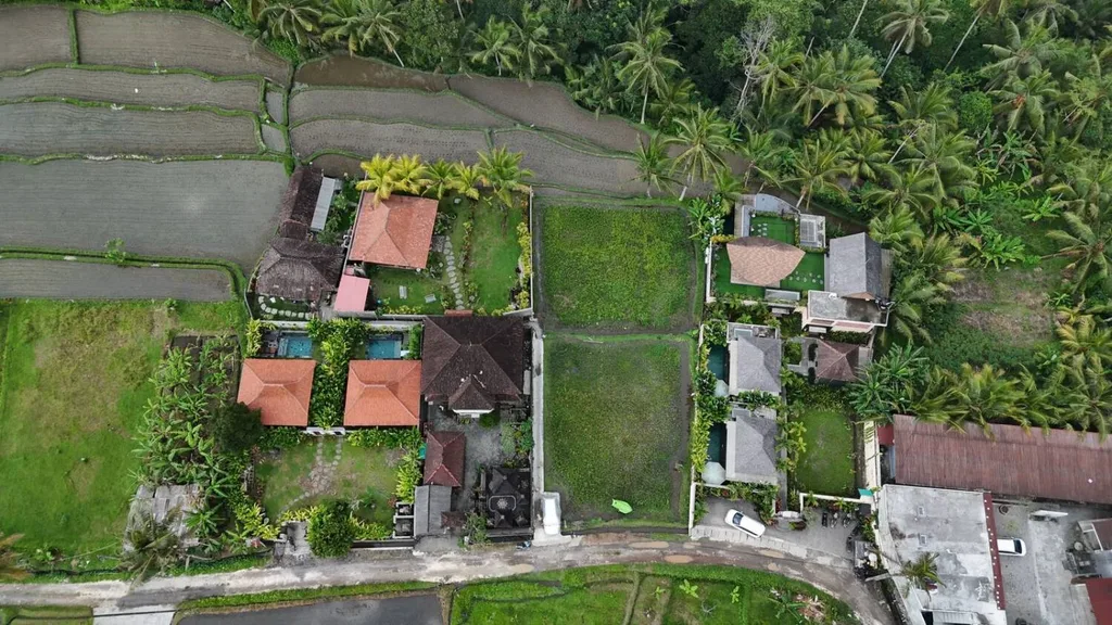 894 SQM Yellow Zone Land in Tegalalang with Rice Field and Jungle View — photo 3