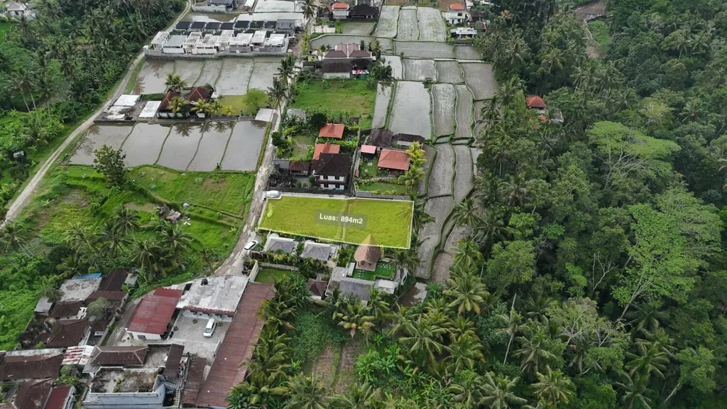 894 SQM Yellow Zone Land in Tegalalang with Rice Field and Jungle View — photo 2