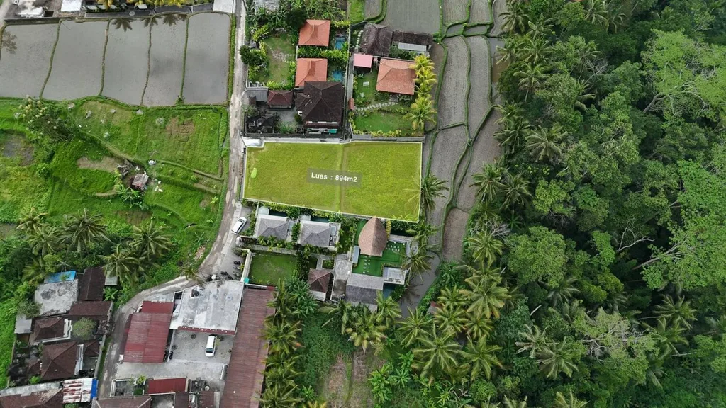 Tanah Zona Kuning 894 SQM di Tegalalang dengan Pemandangan Sawah dan Hutan