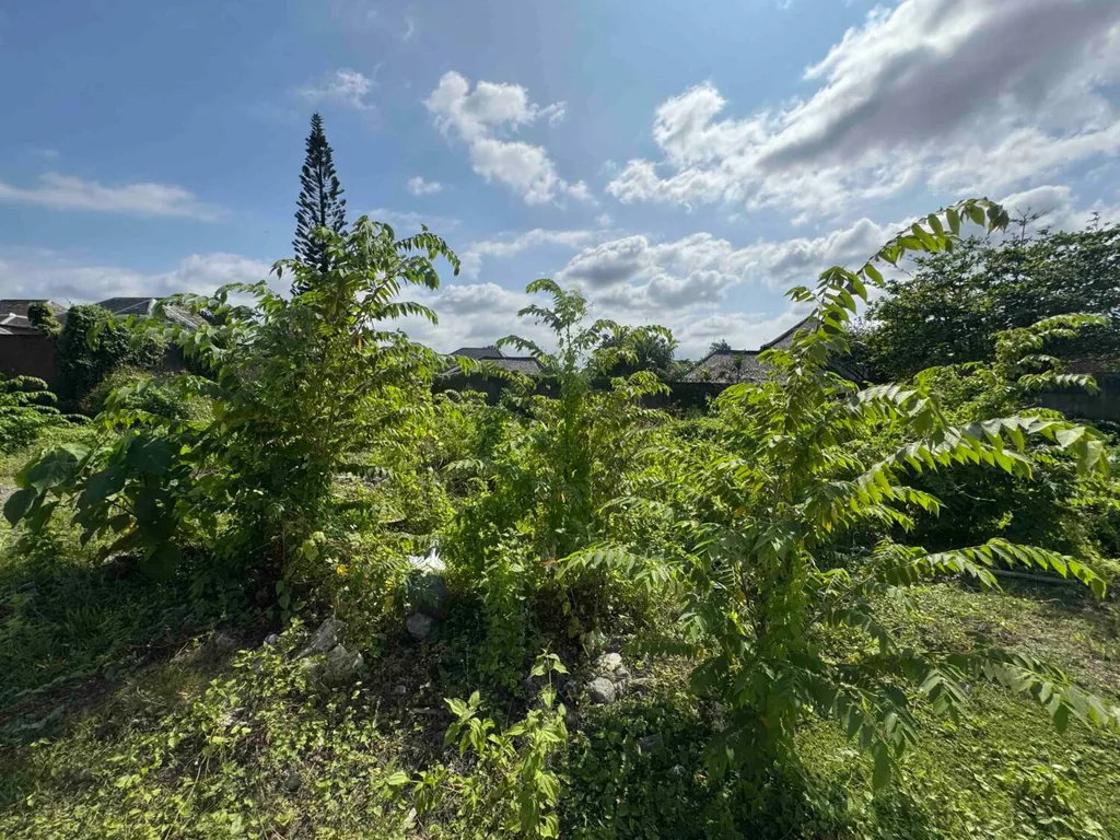 PRIME LEASEHOLD LAND IN PETITENGET SEMINYAK — photo 3