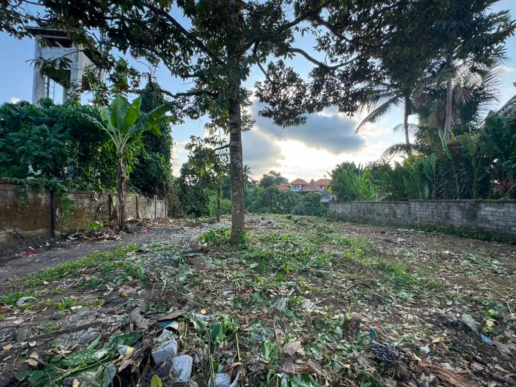 Prime Freehold Commercial Land with Cliff & Jungle Views in Sri Wedari, Ubud — photo 4
