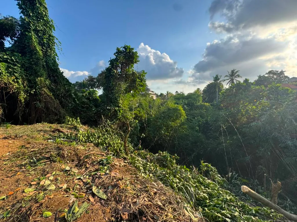 Prime Freehold Commercial Land with Cliff & Jungle Views in Sri Wedari, Ubud — photo 3
