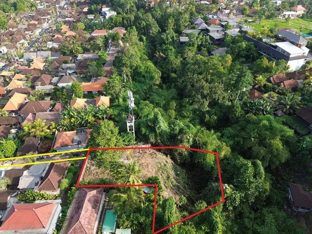 Prime Freehold Commercial Land with Cliff & Jungle Views in Sri Wedari, Ubud — photo 2