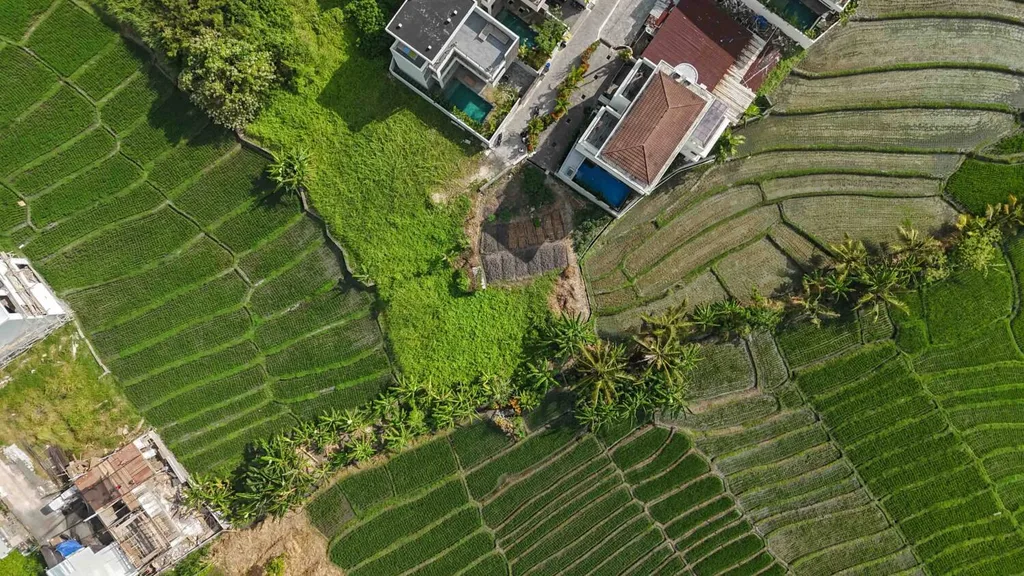 Freehold  Ricefield view Land 300 Meters from the Beach — photo 3