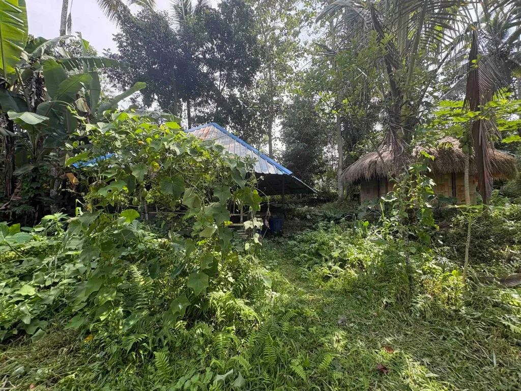Yellow Zone Leasehold Land in Tegalalang — photo 4
