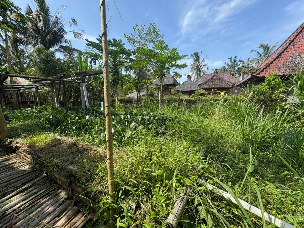 Yellow Zone Leasehold Land in Tegalalang — photo 5