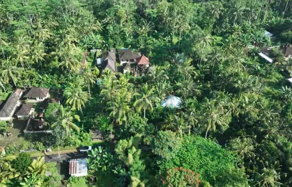 Yellow Zone Leasehold Land in Tegalalang