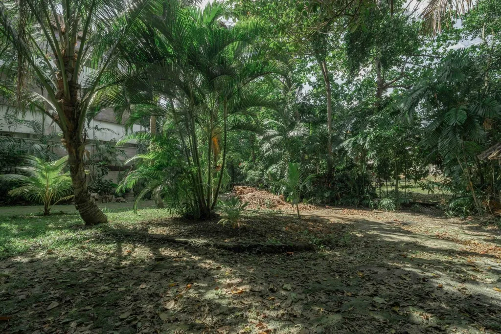 Prime Freehold Commercial Land in Padang Linjong, Canggu — photo 4