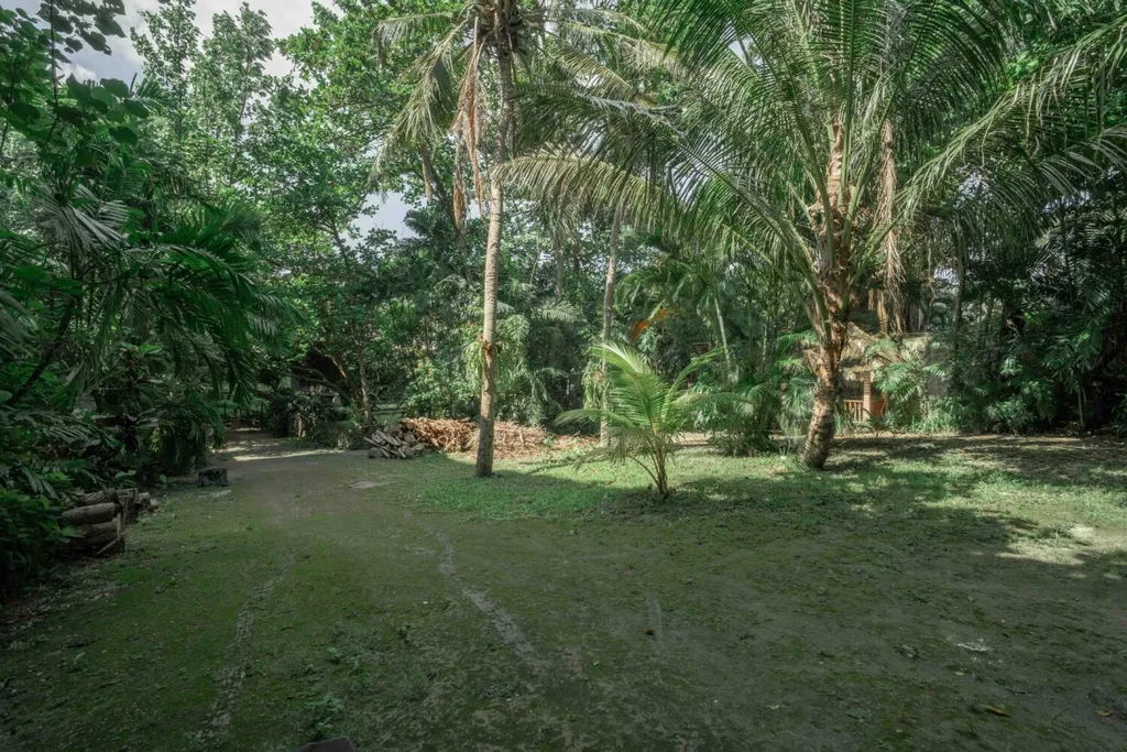 Prime Freehold Commercial Land in Padang Linjong, Canggu — photo 2