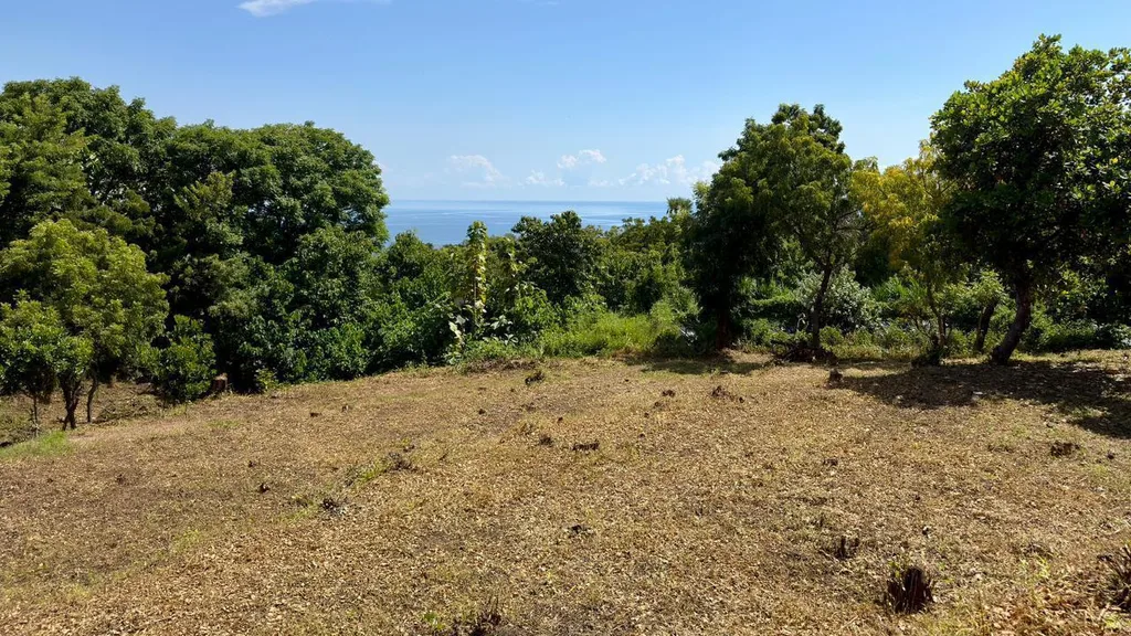 Terraced Land, Pacung North Bali 3,400m², Sea View — photo 3