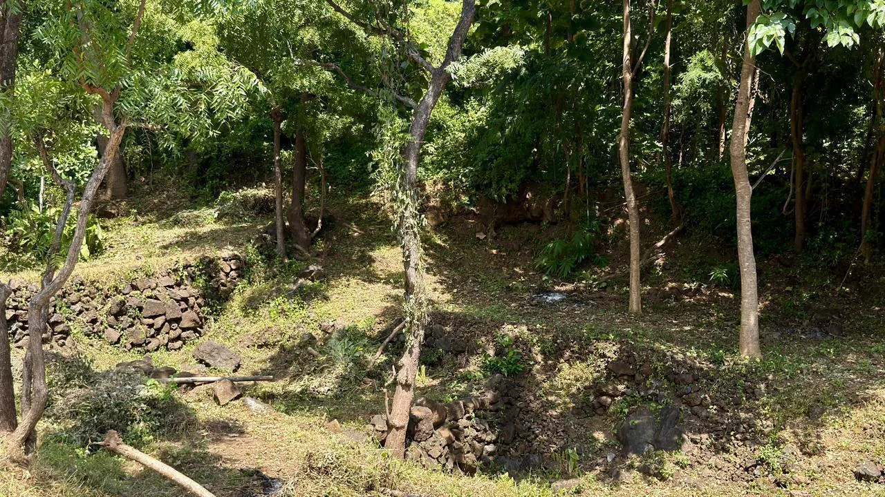 Terraced Land, Pacung North Bali 3,400m², Sea View